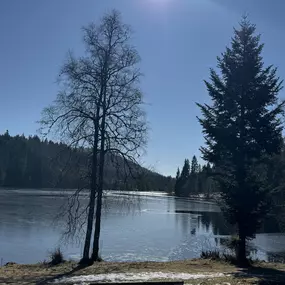Bild von BergOase-Apart am Feldberg