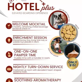 Hotel Plus at OTPR