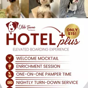 Hotel Plus at OTPR