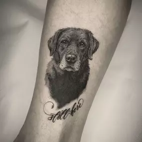 Microrealism Hundeporträt Tattoo in Black and Grey mit feiner Schattierung. Emotionales Realistic Tattoo in Berlin gestochen bei OMEN Tattoo Berlin.