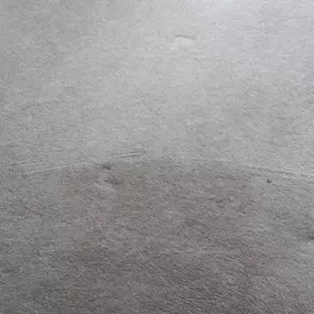 Bild von JOE WILDEY CARPET & UPHOLSTERY CLEANERS