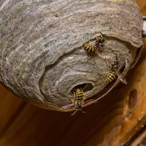 Bild von Menco Resolve Ltd