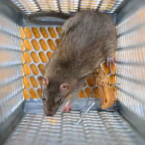 Bild von Menco Resolve Ltd