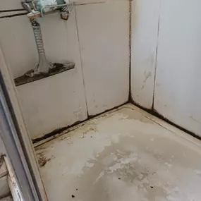 Bild von Eco-Chameleon Home Restoration