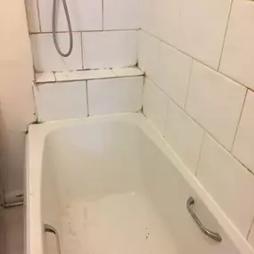 Bild von Eco-Chameleon Home Restoration