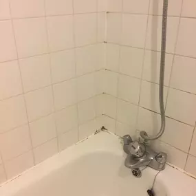 Bild von Eco-Chameleon Home Restoration