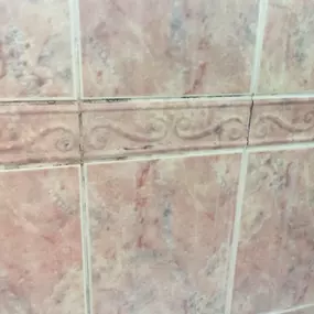 Bild von Eco-Chameleon Home Restoration