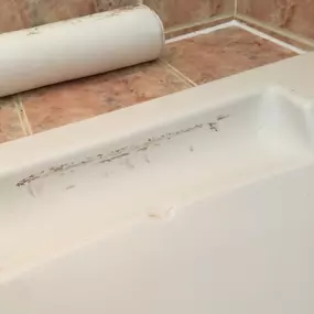 Bild von Eco-Chameleon Home Restoration