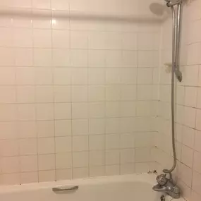 Bild von Eco-Chameleon Home Restoration