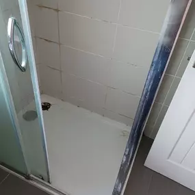 Bild von Eco-Chameleon Home Restoration