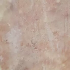 Bild von Eco-Chameleon Home Restoration