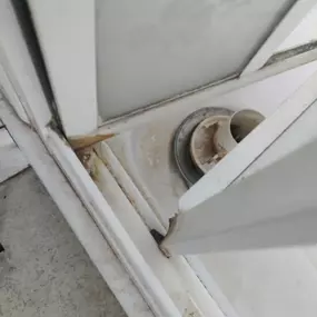 Bild von Eco-Chameleon Home Restoration