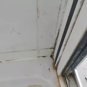 Bild von Eco-Chameleon Home Restoration