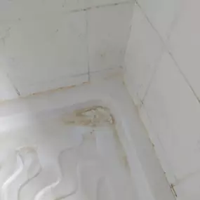 Bild von Eco-Chameleon Home Restoration