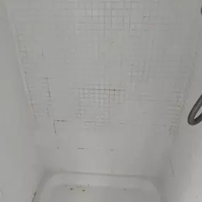 Bild von Eco-Chameleon Home Restoration