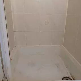 Bild von Eco-Chameleon Home Restoration