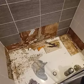 Bild von Eco-Chameleon Home Restoration