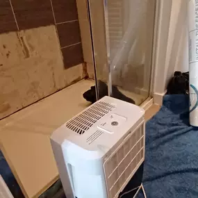 Bild von Eco-Chameleon Home Restoration