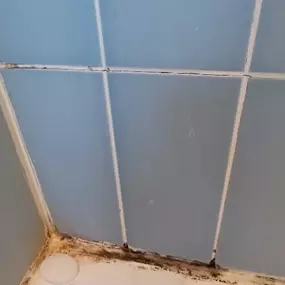 Bild von Eco-Chameleon Home Restoration