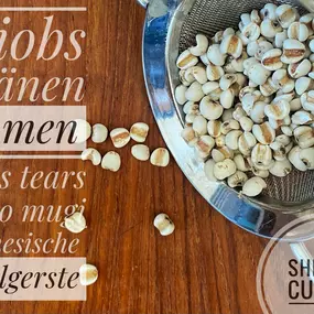 Samen - Charlotte Sachter, Praxis für natürliche Medizin - Hamburg