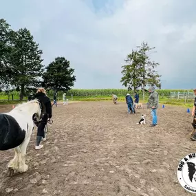 Bild von Dog&HumanWork