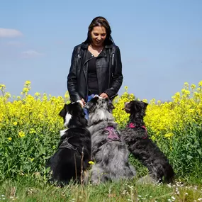 Bild von Dog&HumanWork