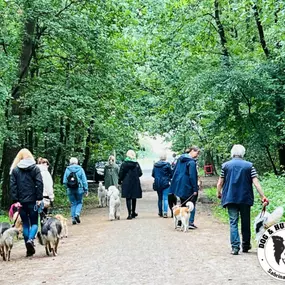 Bild von Dog&HumanWork