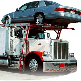 Bild von Fast Track Car Shippers