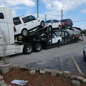 Bild von Fast Track Car Shippers