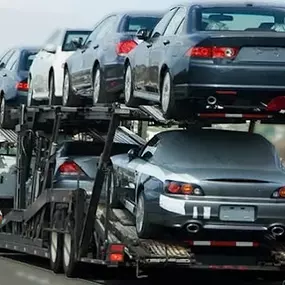 Bild von Fast Track Car Shippers