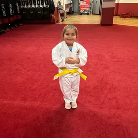 Bild von SDSS Martial Arts of Darien
