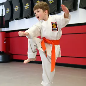 Bild von SDSS Martial Arts of Darien