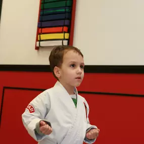 Bild von SDSS Martial Arts of Darien