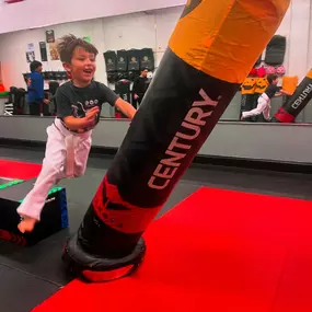 Bild von SDSS Martial Arts of Fairfield