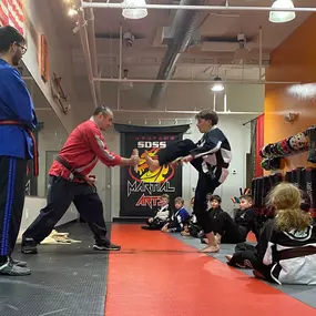 Bild von SDSS Martial Arts of Greenwich
