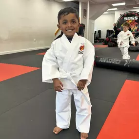 Bild von SDSS Martial Arts of Natick