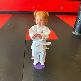 Bild von Steve DeMasco's Shaolin Studios of Needham