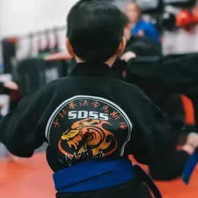 Bild von Steve DeMasco's Shaolin Studios of Needham