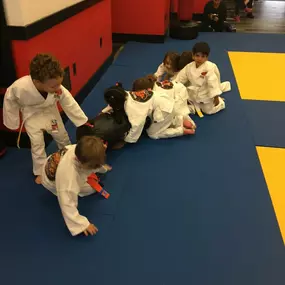 Bild von SDSS Martial Arts of Newton
