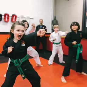 Bild von SDSS Martial Arts of Newton
