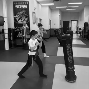 Bild von SDSS Martial Arts of Newton