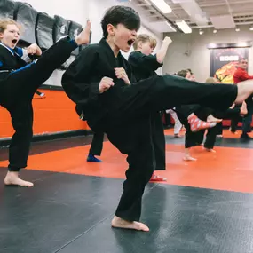 Bild von SDSS Martial Arts of Ridgefield