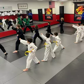 Bild von SDSS Martial Arts of Ridgefield
