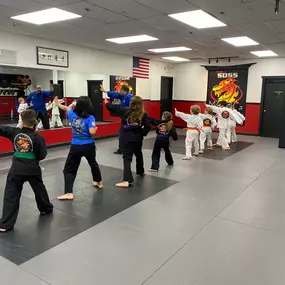 Bild von SDSS Martial Arts of Ridgefield