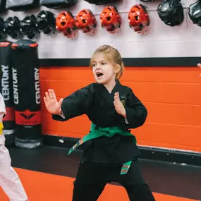 Bild von SDSS Martial Arts of Ridgefield