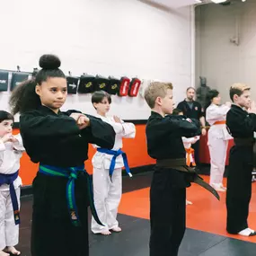 Bild von SDSS Martial Arts of Ridgefield
