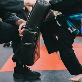Bild von SDSS Martial Arts of Ridgefield