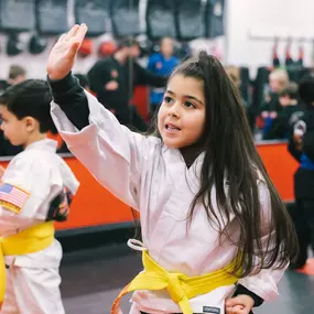 Bild von SDSS Martial Arts of Ridgefield