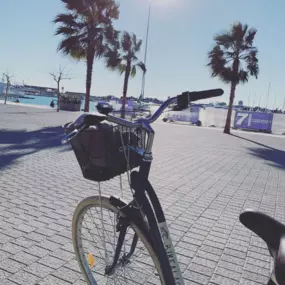 18_Imagen_BikeAlao.png