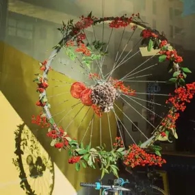 20_Imagen_BikeAlao.png